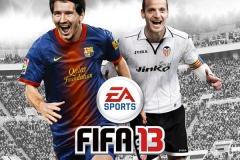 FIFA 13 Covers