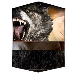 cvccuyfwcaacpv5